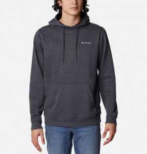 Columbia CSC Basic Logo Men Hoodies | TGXLRW-983