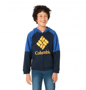 Columbia Logo Kids' Hoodies | EMUKRA-576