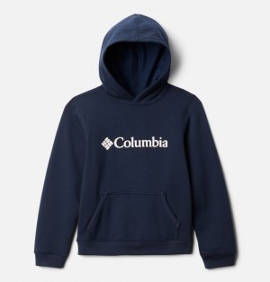 Columbia Logo Kids' Hoodies | TXRMSG-270