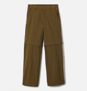 Columbia Silver Ridge IV Kids' Pants | SPXHON-569